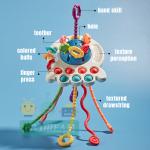 Sensory Development Toy: Early Learning Fun for Babies