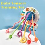 Sensory Development Toy: Early Learning Fun for Babies