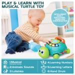 Melodic Turtle Adventure: Early Learning Music Toy for Infants and Toddlers