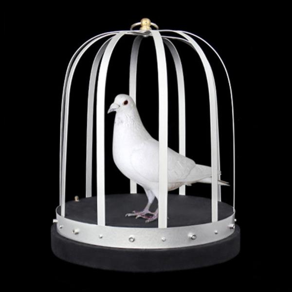 Dove Appearing from Empty Fire Cage - Stage Magic Tricks